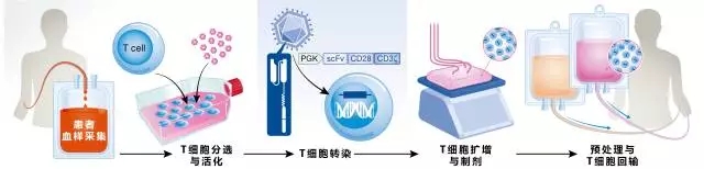 DB电子·(中国)游戏官网