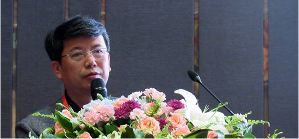 杨林博士受邀出席“2017年中国药物化学学术会议”并作汇报 